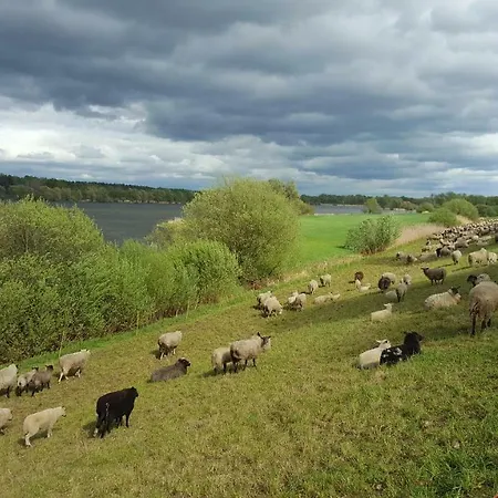 Holiday home Lille Hus Gartow